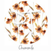 12"x12" Permanent Patterned Vinyl Swatch- Chamomile