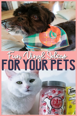 Love your pet with Vinyl