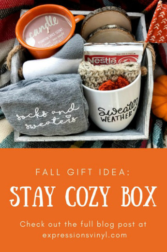 Stay Cozy Box with Vinyl Gifts