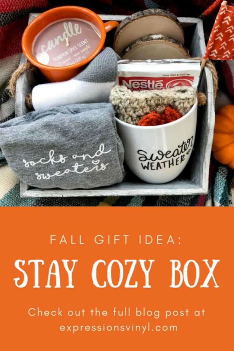 Stay Cozy Box with Vinyl Gifts Expressions Vinyl