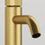Tap Finishes:Brushed Gold, Tap Head:Linear
