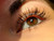 Mascara Wands