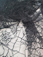 sequin and spiderweb bra tulle