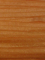 Tangerine Fold Over Elastic