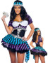 Ladies Gypsy Girl colourful dress up Costume