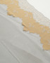 Golden Ivory 26.5cm Rigid Lace