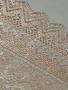 Champagne Shimmer 23cm Stretch Lace