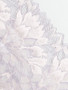 Eternal Flame Pink Ice 20cm Stretch Lace