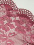 Perennial Maroon 22cm Stretch Lace