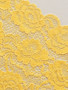 Golden Sands 23cm Stretch Lace