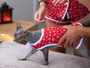 Mens Pajama Pattern Collection