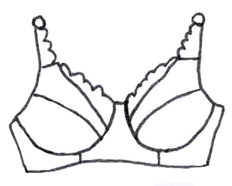 vanessa-bra-mini-pic-front.jpg