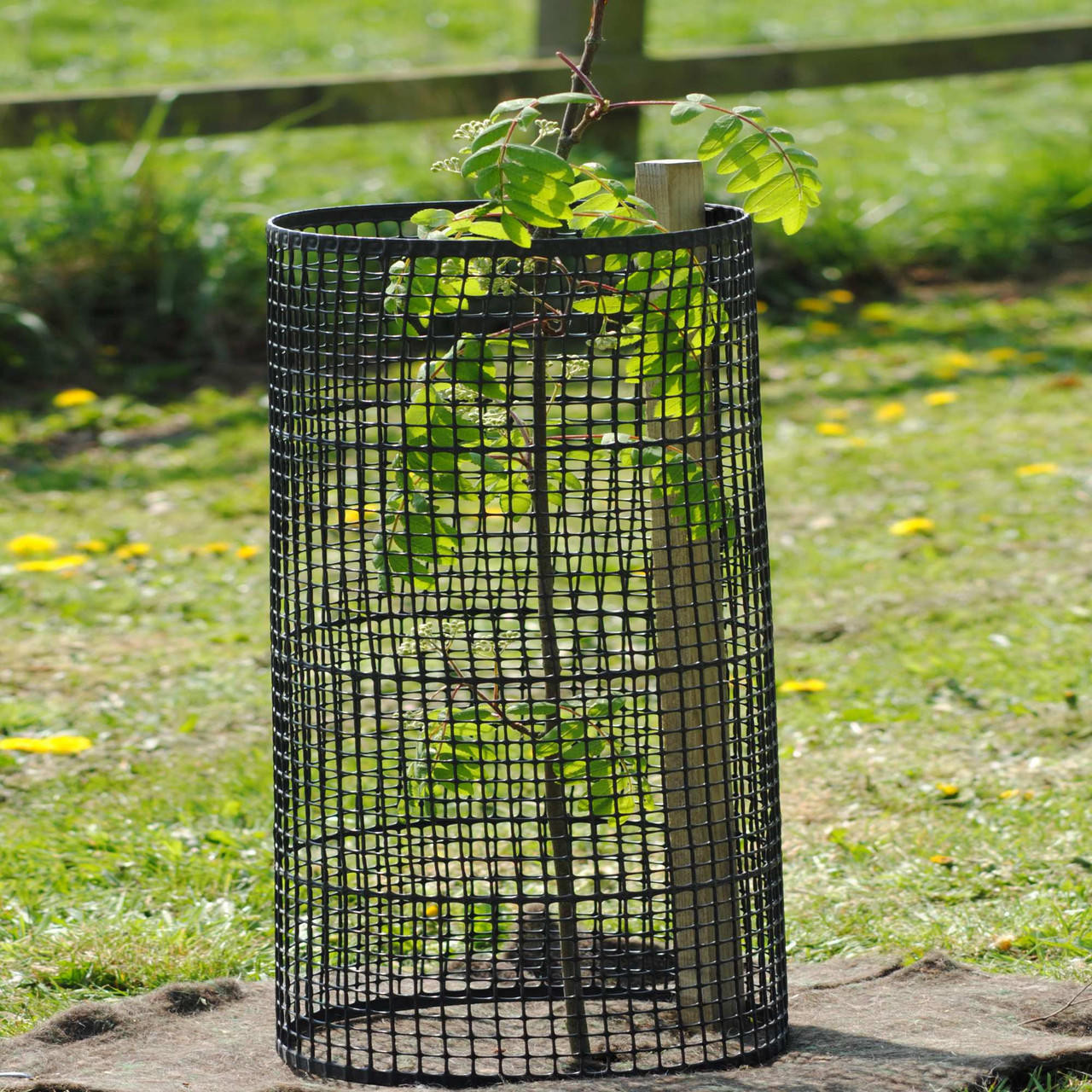 1.2m Plastic Open Mesh Tree Guard | Gardener Supplies