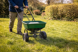 First Signs of Spring? It’s Time to Think About Lawn Care