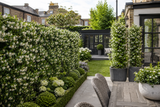 Instant Green Screens: The Complete UK Buyer's Guide to Living Privacy Fences