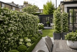 Instant Green Screens: The Complete UK Buyer's Guide to Living Privacy Fences