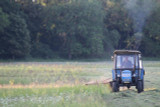 How to manage and maintain your wildflower meadow