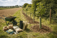 Common Mistakes to Avoid During Tree Planting Season