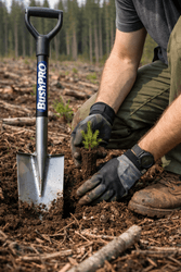 Essential Tools for Successful Tree Planting