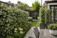 Instant Green Screens: The Complete UK Buyer's Guide to Living Privacy Fences