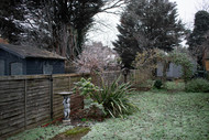 Winter Gardening Tips