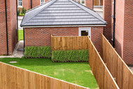 Using Instant Hedging for Fencing and Privacy in UK Gardens