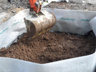 Protecting Buildings and Driveways with Root Barriers: Step-by-Step Guide