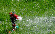 Watering your lawn in summer