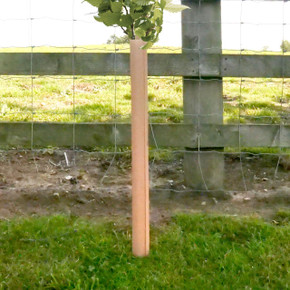 60cm Tubex Nature™ Easywrap  Tubex 60cm Tubex Nature™ Easywrap  Tubex