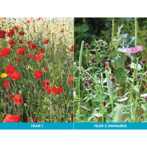 Dual Purpose 50/50 Wildflower Grass Seed Mix  Gardener Supplies