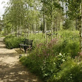 Shade Tolerant Wildflower Matting Turf  Gardener Supplies
