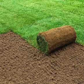 Hallstone Turf Roll m² 610mm x 1640mm  Gardener Supplies