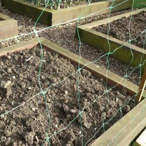 Pea and Bean Netting – 150mm x 150mm Green Plant Support  Gardener Supplies