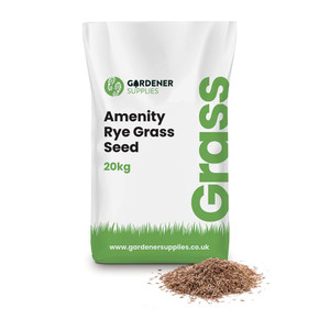 Amenity Rye Grass Seed 20kg  Gardener Supplies