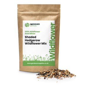 Hedgerow Wildflower Habitat Mix – 100% Native Wildflowers  Gardener Supplies