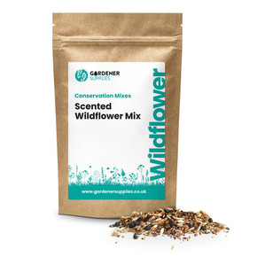 Scented Wildflower Seed Mix  Gardener Supplies