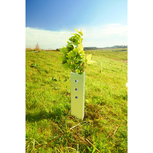60cm Biodegradable Earthboard Shrub Shelter Guard  Gardener Supplies