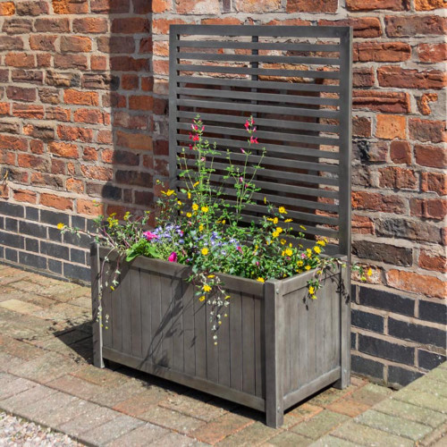 Alderley Grey Planter & Trellis  Rowlinson