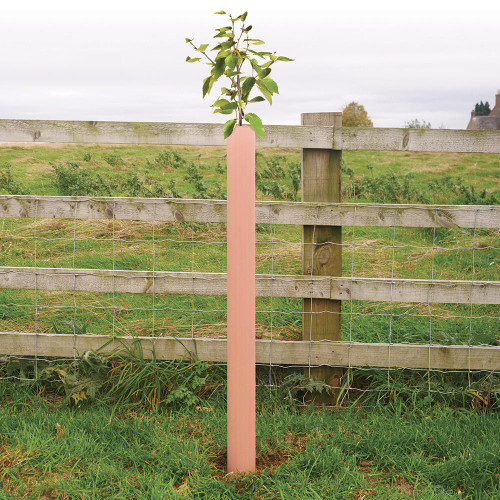 1.5m Tubex Nature Tree Shelter Guard  Tubex