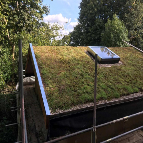 Sedum Green Roof Garden Matting  Harrowden