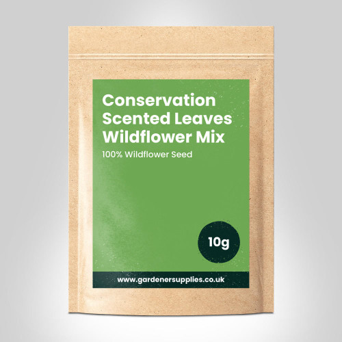Conservation Scented Leaves Wildflower Seed Mix  Gardener Supplies