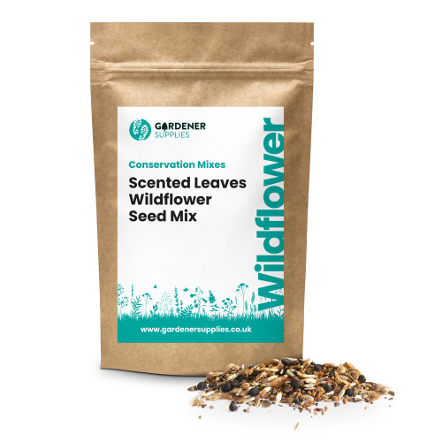 Scented Leaves Wildflower Seed Mix