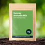 Sunray Annual Wildflower Seed Mix