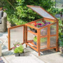 Hardwood Coldframe  Rowlinson