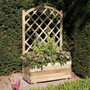 Rectangular Planter & Lattice  Rowlinson