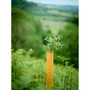 150cm NexGen Biodegradable Tree Shelter Guard  NexGen
