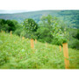 150cm NexGen Biodegradable Tree Shelter Guard  NexGen