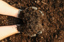 Rolawn Compost Soil Improver Bulk Bag 500L