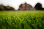 Rolawn Medallion® Turf Roll 1m² 610mm x 1640mm