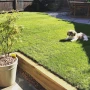 Mini Green Timber Railway Sleepers  Gardener Supplies